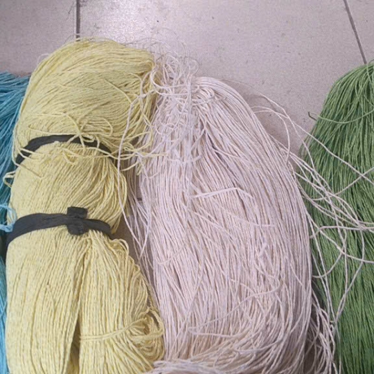Ruột vịt